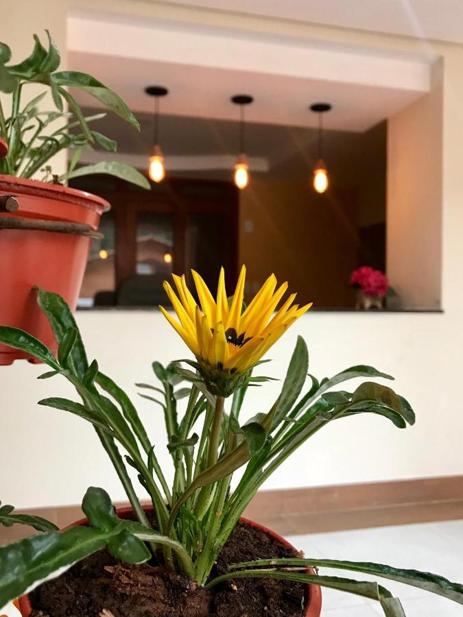 Ecopousada Garten Haus 酒店 Santa Teresa (Espirito Santo)